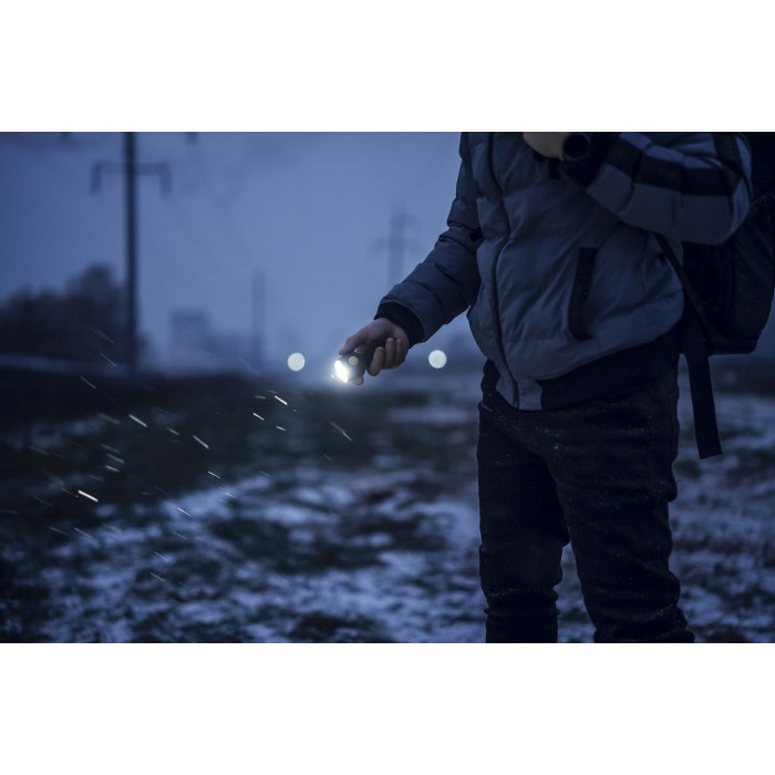 Фонарь Armytek Bear WRG