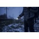 Фонарь Armytek Bear WRG