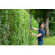 ONE + / Кусторез RYOBI RY18HT55A-120
