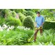 ONE + / Триммер RYOBI RLT183225F