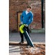 Воздуходувка-пылесос электрическая RYOBI RBV3000CESV