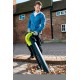 Воздуходувка-пылесос электрическая RYOBI RBV3000CESV